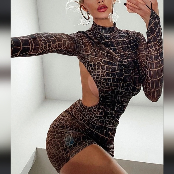 Mesh Mini Dress - Picture 4 of 5